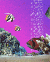 Peixes