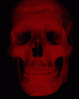 Caveira Red